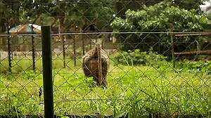 caroline bbc stretch