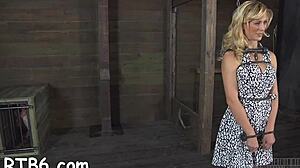 shaved doxy punishment