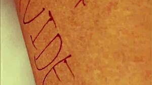 Indian Verification Clip