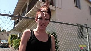 Fishnets Punk Blacked