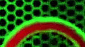 morning pussy licking