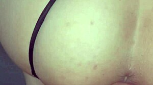 latina creampie delight