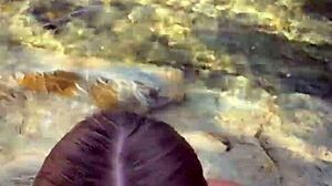 beach facial blowjob