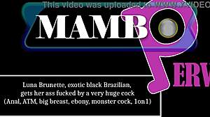 Ebony Anal ATM