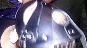 yard public creampie