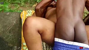 morning outdoor doggy