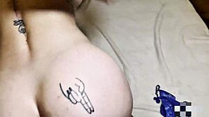 pussy lingerie tease