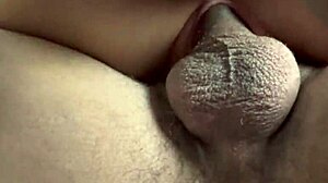 dupla penetração feeling