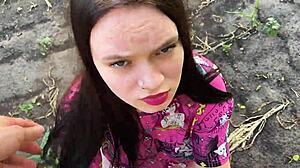 Cornfield Cock Comfort