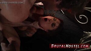 felicity tourists 😏