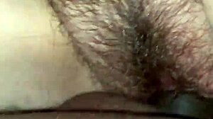 Bbc Monster Pounding