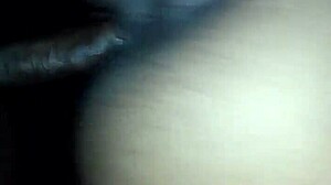 Ebony Doggystyle Pound