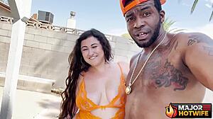 Cougar Pool Pounding