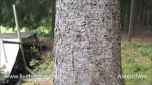 forest tit play