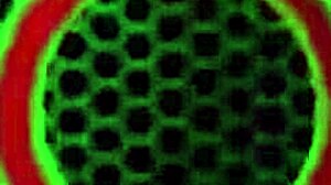 julia ann pussy play