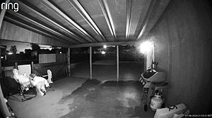 Public Creampie Fuck