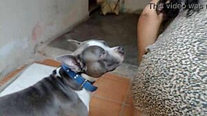 homemade latina fuck