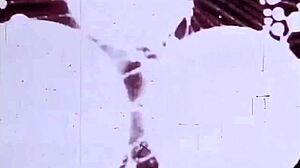 vintage lesbian beavers