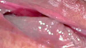 Pink Pussy Closeup