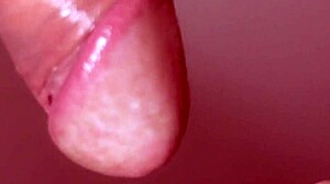 Japanese Blowjob Fun