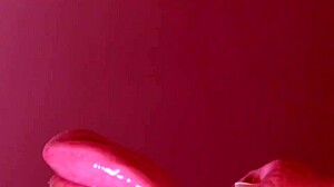 Japanese Blowjob Fun