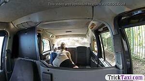 backseat public fuck