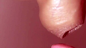 Japanese Blowjob Fun