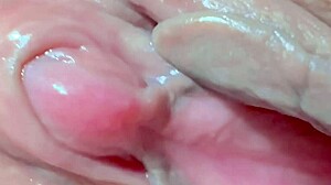 Pink Pussy Closeup