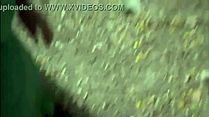 bush blowjob payback