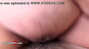 Japanese Erotic Creampie