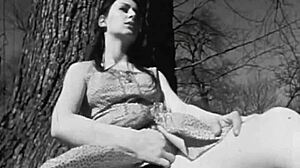 taboo vintage confessions