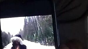 Snowy Ebony Thrill