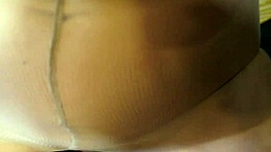 Kitchen Pantyhose Pound