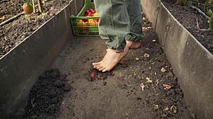 barefoot tomato squish