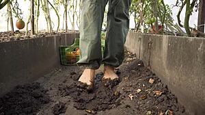 barefoot tomato squish