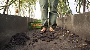 barefoot tomato squish