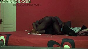 Shaved Pussy Sex