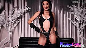 harley sultry strip