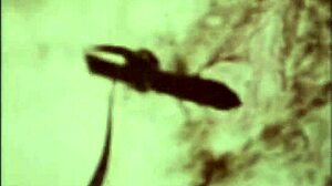 vintage interracial fuck