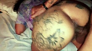 Creampie Pregnancy Risk