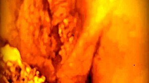 Ass Sucking Pussy Feast