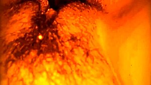 Ass Sucking Pussy Feast