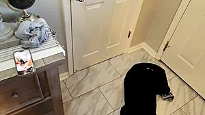 ebony pussy eating