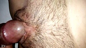 Neighbor Puta