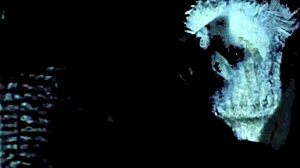 Pornostalgia Hairy Fuck