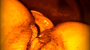 Ass Sucking Pussy Feast