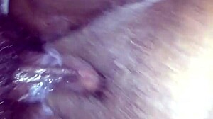 pregnant video clip