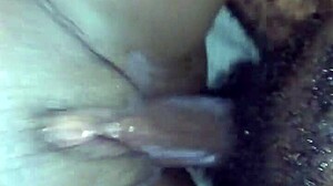 pregnant video clip