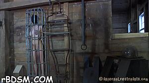 Bound Doggystyle Pounding