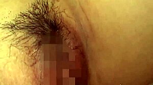 painful blowjob taming